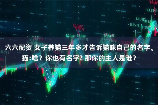 六六配资 女子养猫三年多才告诉猫咪自己的名字。猫:啥？你也有名字? 那你的主人是谁？