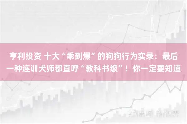 亨利投资 十大“乖到爆”的狗狗行为实录：最后一种连训犬师都直呼“教科书级”！你一定要知道