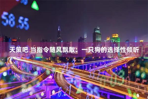 天策吧 当指令随风飘散：一只狗的选择性倾听