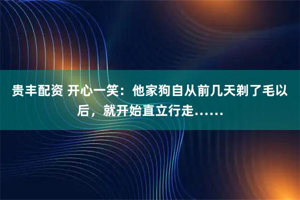贵丰配资 开心一笑：他家狗自从前几天剃了毛以后，就开始直立行走……
