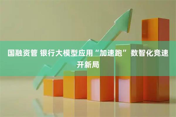国融资管 银行大模型应用“加速跑” 数智化竞速开新局