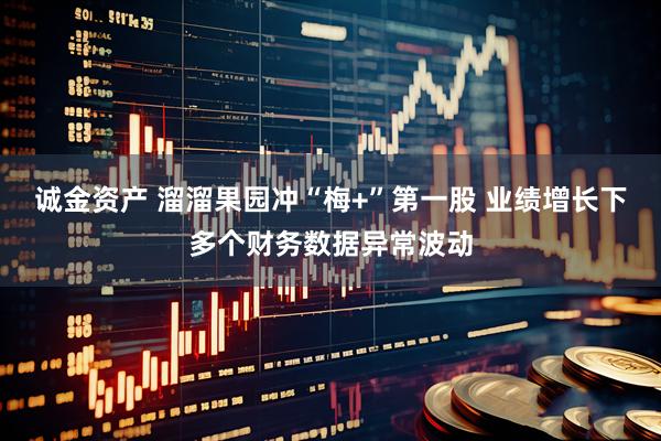 诚金资产 溜溜果园冲“梅+”第一股 业绩增长下多个财务数据异常波动