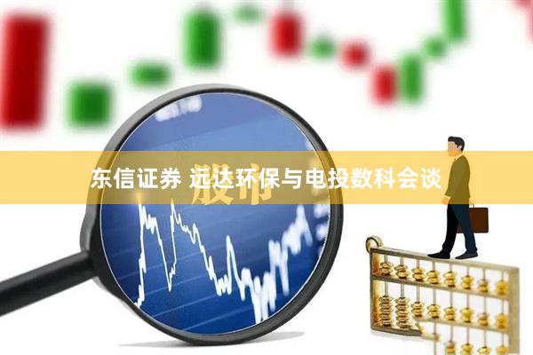 东信证券 远达环保与电投数科会谈