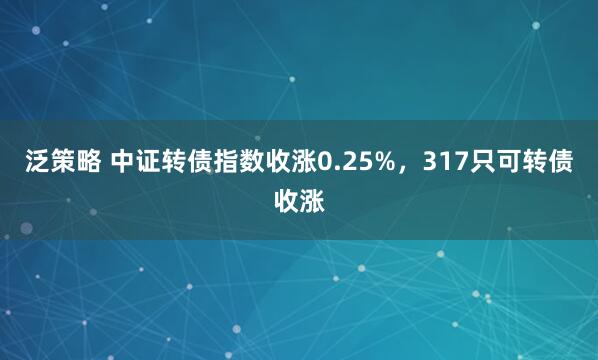 泛策略 中证转债指数收涨0.25%，317只可转债收涨