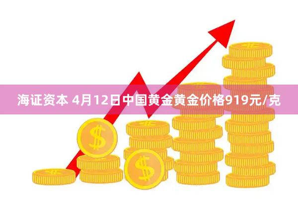 海证资本 4月12日中国黄金黄金价格919元/克