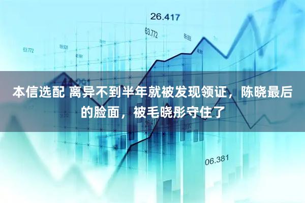 本信选配 离异不到半年就被发现领证，陈晓最后的脸面，被毛晓彤守住了