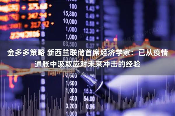 金多多策略 新西兰联储首席经济学家：已从疫情通胀中汲取应对未来冲击的经验