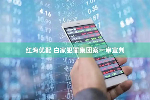 红海优配 白家犯罪集团案一审宣判