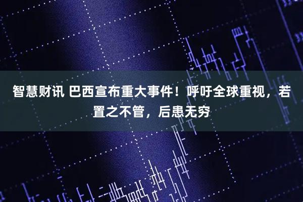 智慧财讯 巴西宣布重大事件！呼吁全球重视，若置之不管，后患无穷