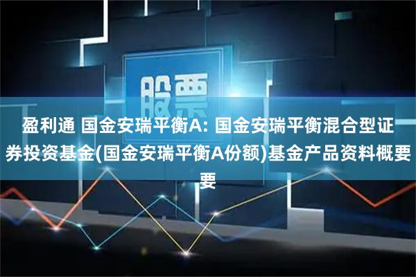 盈利通 国金安瑞平衡A: 国金安瑞平衡混合型证券投资基金(国金安瑞平衡A份额)基金产品资料概要