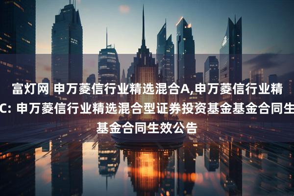 富灯网 申万菱信行业精选混合A,申万菱信行业精选混合C: 申万菱信行业精选混合型证券投资基金基金合同生效公告