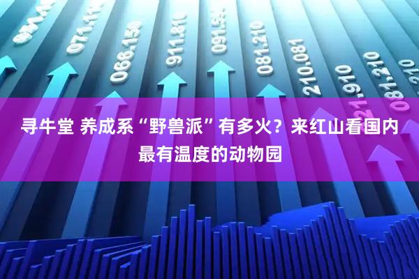 寻牛堂 养成系“野兽派”有多火？来红山看国内最有温度的动物园