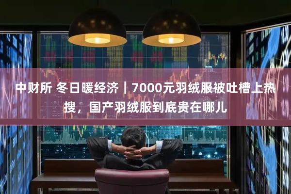 中财所 冬日暖经济｜7000元羽绒服被吐槽上热搜，国产羽绒服到底贵在哪儿
