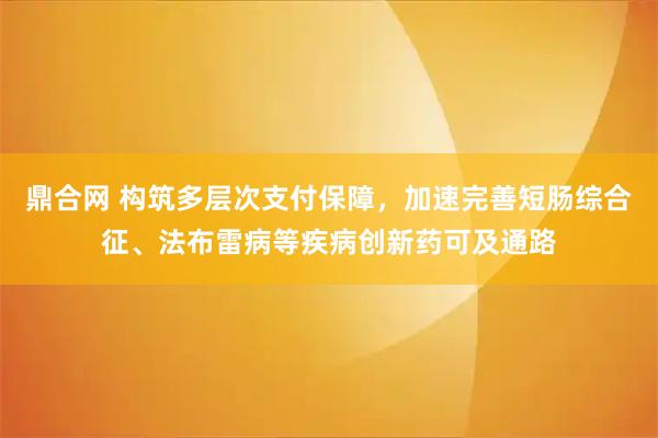 鼎合网 构筑多层次支付保障，加速完善短肠综合征、法布雷病等疾病创新药可及通路
