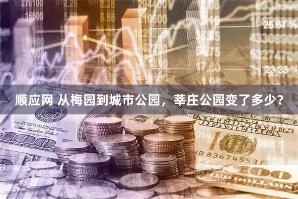 顺应网 从梅园到城市公园，莘庄公园变了多少？