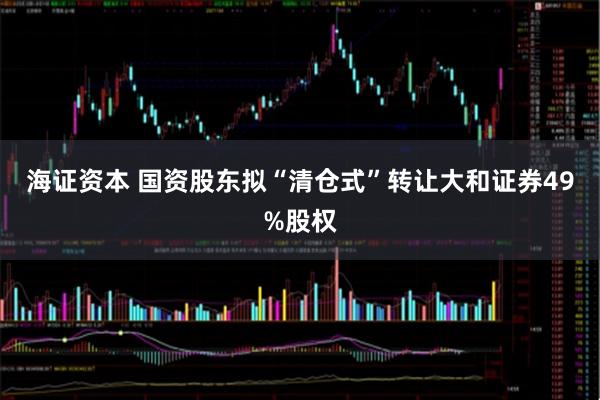 海证资本 国资股东拟“清仓式”转让大和证券49%股权