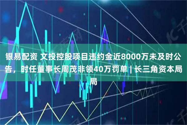 银易配资 文投控股项目违约金近8000万未及时公告，时任董事长周茂非领40万罚单 | 长三角资本局