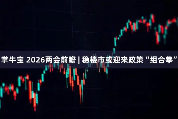 掌牛宝 2026两会前瞻 | 稳楼市或迎来政策“组合拳”