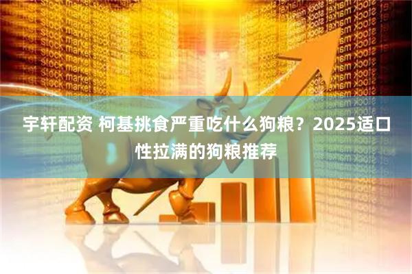 宇轩配资 柯基挑食严重吃什么狗粮？2025适口性拉满的狗粮推荐