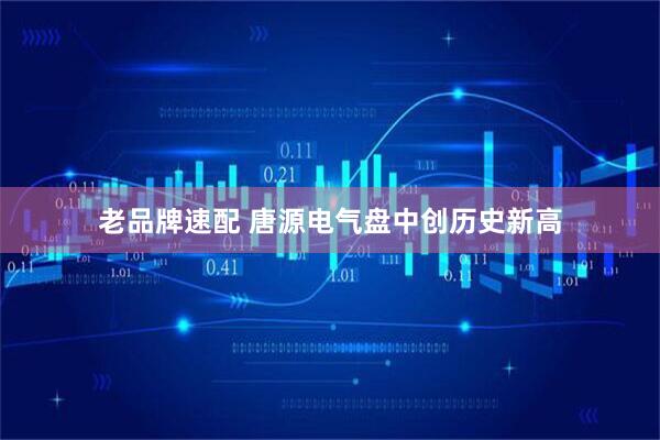 老品牌速配 唐源电气盘中创历史新高