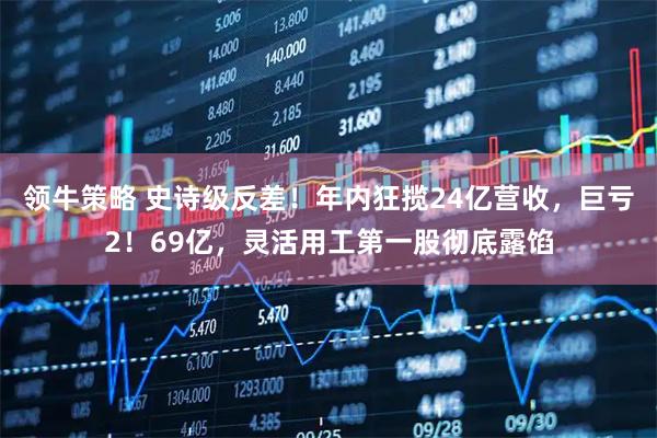 领牛策略 史诗级反差！年内狂揽24亿营收，巨亏2！69亿，灵活用工第一股彻底露馅